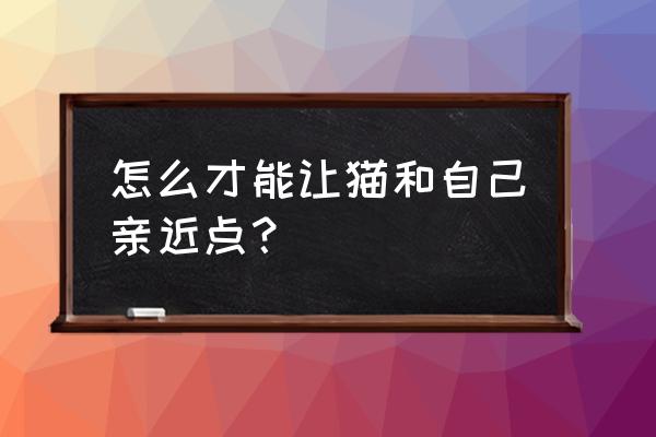 养猫咪的家里怎么保持干净 怎么才能让猫和自己亲近点？