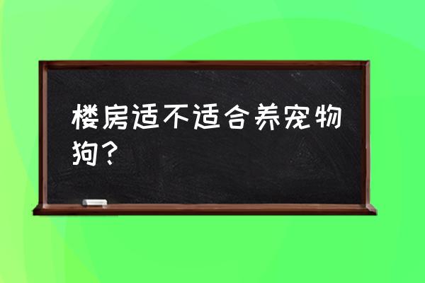 七种不适合在家养的宠物 楼房适不适合养宠物狗？