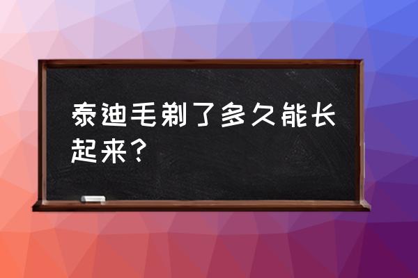 狗狗剃毛之后什么时候才能长好 泰迪毛剃了多久能长起来？