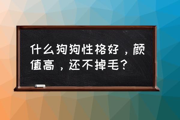 有什么适合女生养的狗吗 什么狗狗性格好，颜值高，还不掉毛？