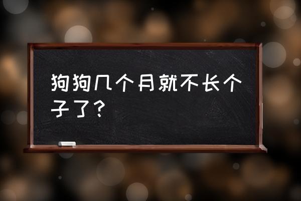 三个月的宝宝发育到什么阶段了 狗狗几个月就不长个子了？