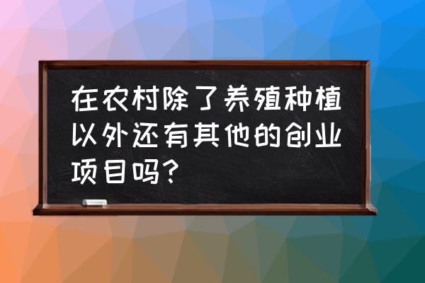 瓜子二手车o2o模式 在农村除了养殖种植以外还有其他的创业项目吗？