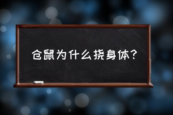 怎么知道自己是否对仓鼠过敏 仓鼠为什么挠身体？