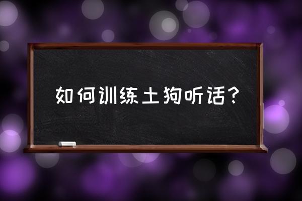 二个月训练狗狗听话的诀窍 如何训练土狗听话？