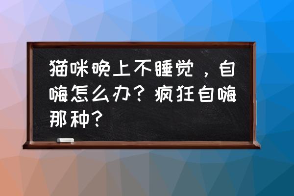 怎么让猫半夜睡觉 猫咪晚上不睡觉，自嗨怎么办？疯狂自嗨那种？