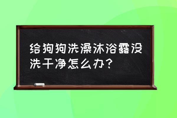 给狗洗澡洗衣服的正确方法 给狗狗洗澡沐浴露没洗干净怎么办？