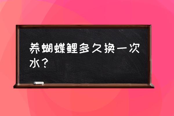 养蝴蝶锦鲤怎么稳定水质 养蝴蝶鲤多久换一次水？