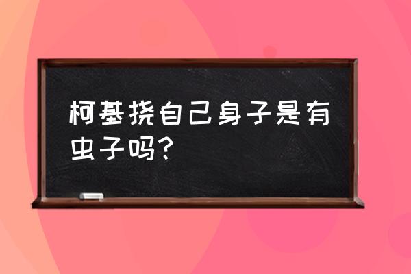 怎么判断柯基犬生病了 柯基挠自己身子是有虫子吗？