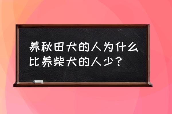 秋田犬怎么那么萌 养秋田犬的人为什么比养柴犬的人少？