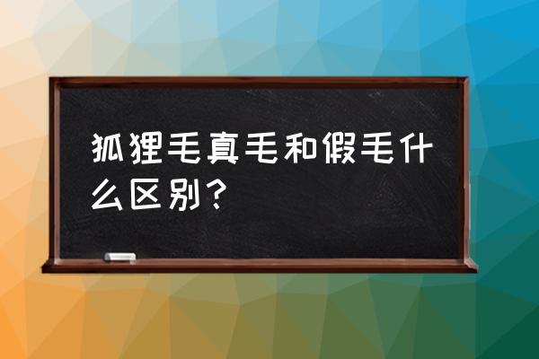 真毛和假毛哪个容易掉毛 狐狸毛真毛和假毛什么区别？