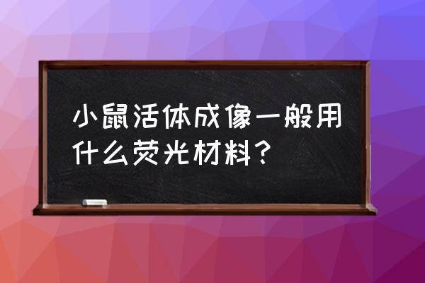 量子点和有机染料哪个好 小鼠活体成像一般用什么荧光材料？