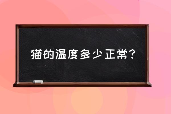 猫发烧体温应该是多少 猫的温度多少正常？