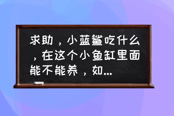 为啥自己养的小蓝鲨养不大 求助，小蓝鲨吃什么，在这个小鱼缸里面能不能养，如果能，多少天喂一次？还要什么装置？