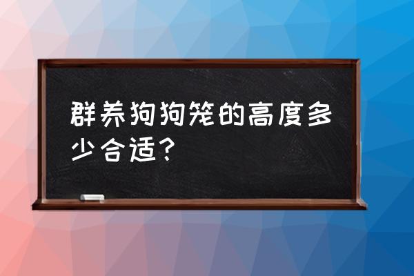 如何添加本地宠物群 群养狗狗笼的高度多少合适？