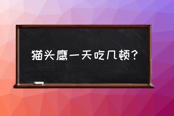 喂猫头鹰的正确方法 猫头鹰一天吃几顿？