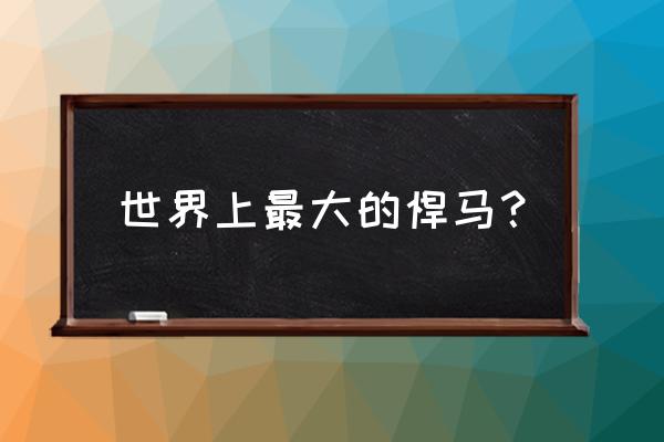 悍马改装详细教程 世界上最大的悍马？