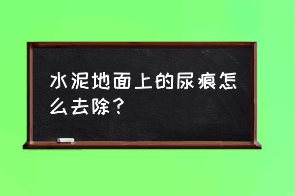 地毯上的狗尿怎么清洗 水泥地面上的尿痕怎么去除？