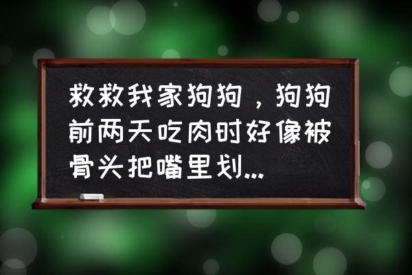 如何开启救救狗狗加强版 救救我家狗狗，狗狗前两天吃肉时好像被骨头把嘴里划破了，今天一直蔫蔫的，给他吃东西也不好好吃，即使偶？