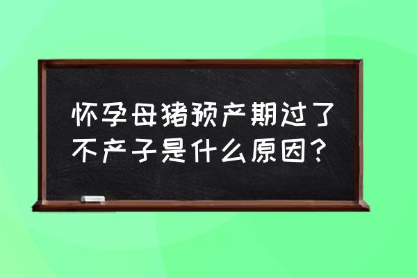 胎儿为什么过了预产期还不出来 怀孕母猪预产期过了不产子是什么原因？