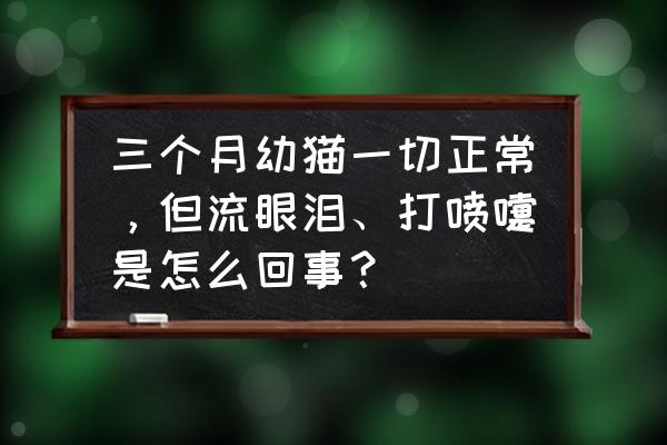 幼猫打喷嚏怎么办但是很精神 三个月幼猫一切正常，但流眼泪、打喷嚏是怎么回事？