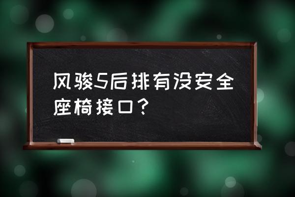 哪种接口的汽车儿童安全座椅安全 风骏5后排有没安全座椅接口？