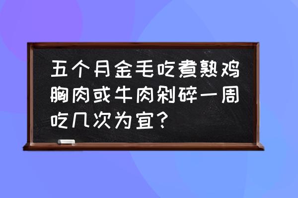 金毛犬除了狗粮还吃什么 五个月金毛吃煮熟鸡胸肉或牛肉剁碎一周吃几次为宜？