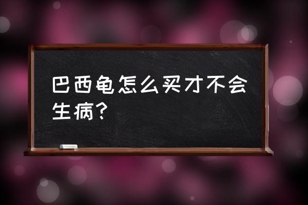 怎样挑选健康的巴西龟 巴西龟怎么买才不会生病？